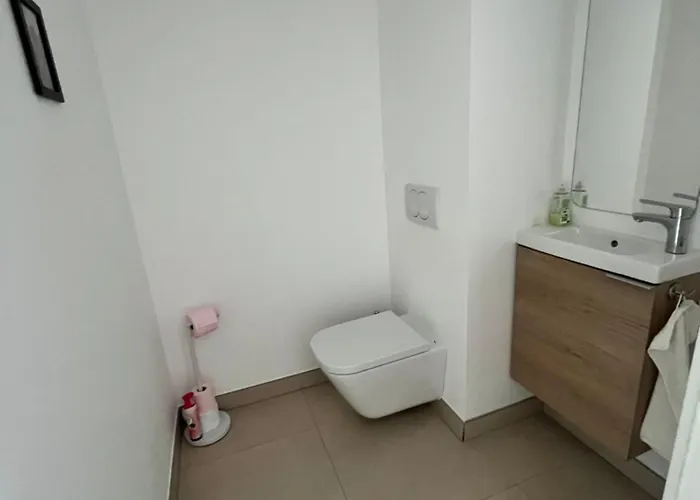 Appartement Superbe T3 Avec Rooftop Vue Et Montagne Ajaccio (Corsica)